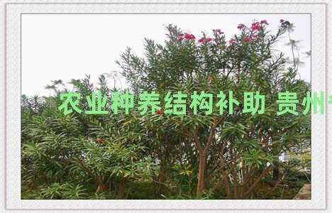 农业种养结构补助 贵州省